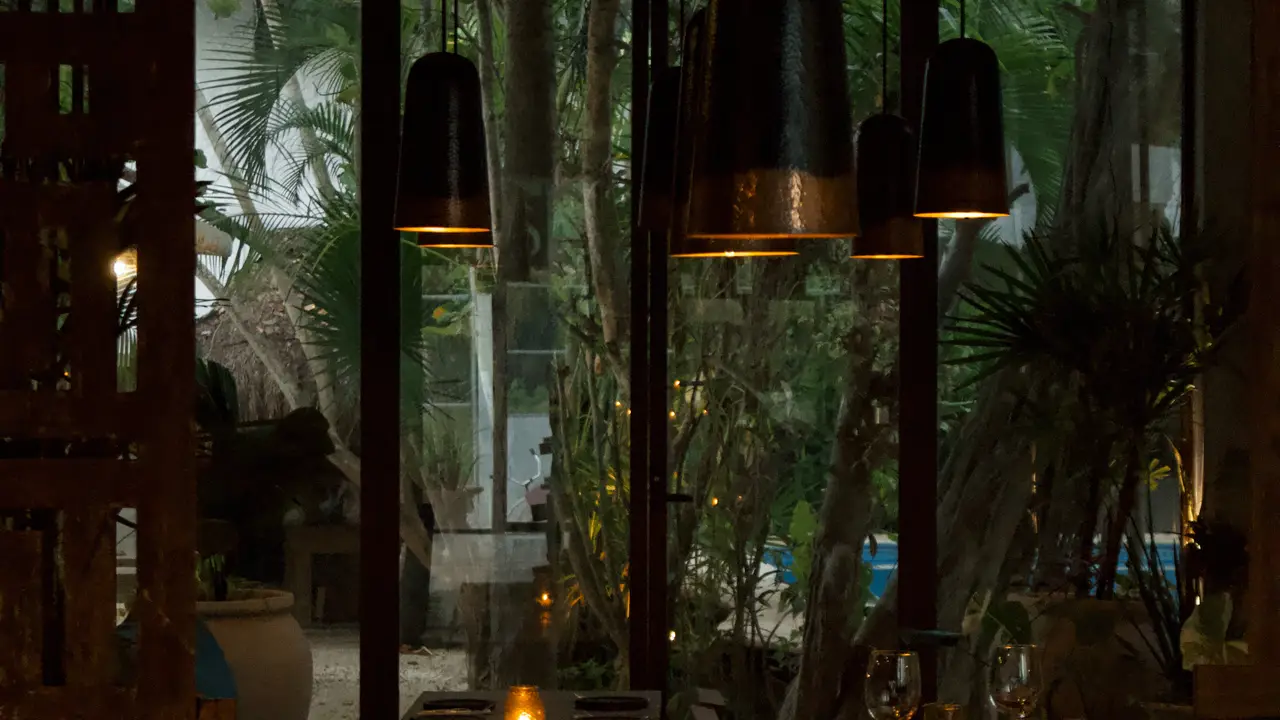 Un lugar lleno de magia y sabor - Aluxes Holbox, Holbox, ROO