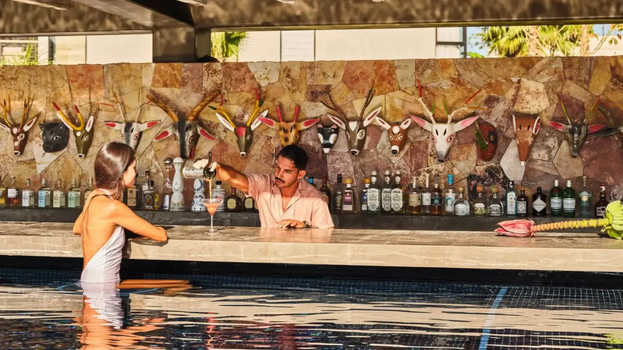ACAPULCO, Punta de Mita, NAY
