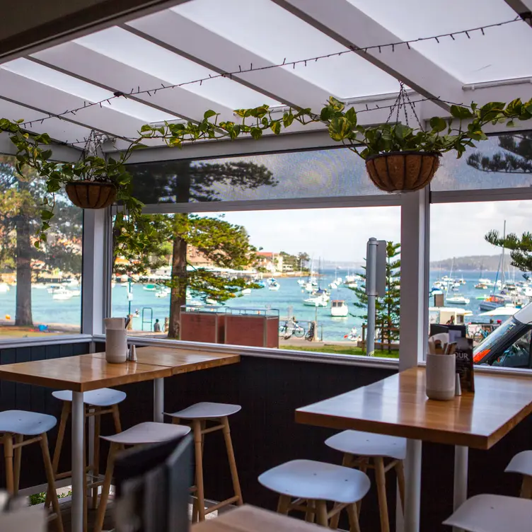 SuGarfish deck - Garfish - Manly, Manly, AU-NSW
