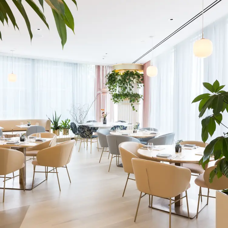 Botanist, Vancouver, BC