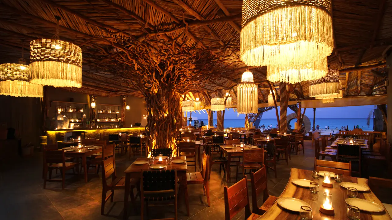 TRIBU Restaurante & Beach Club, Cancún, ROO