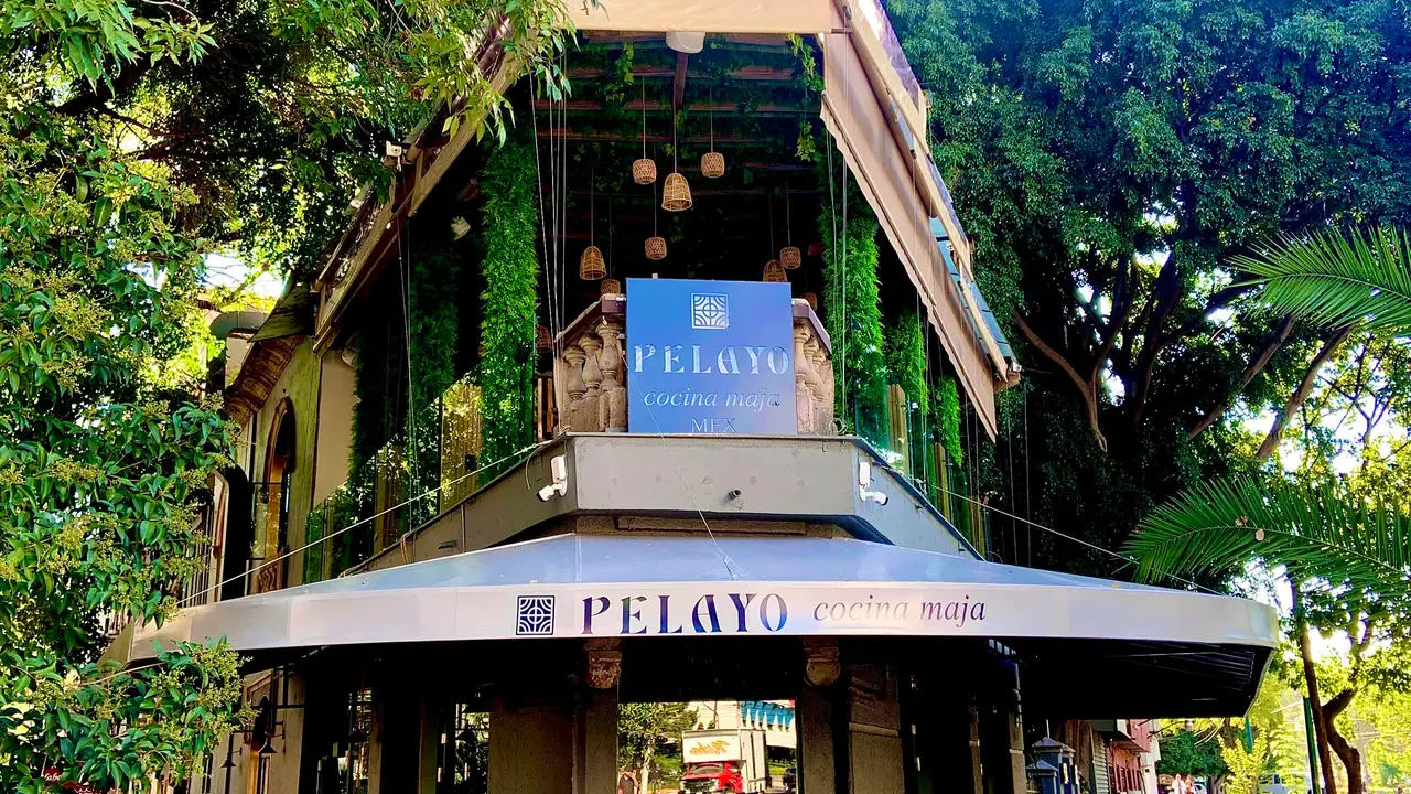Pelayo Cocina Maja.  - Pelayo Cocina Maja, Cuauhtémoc, CDMX
