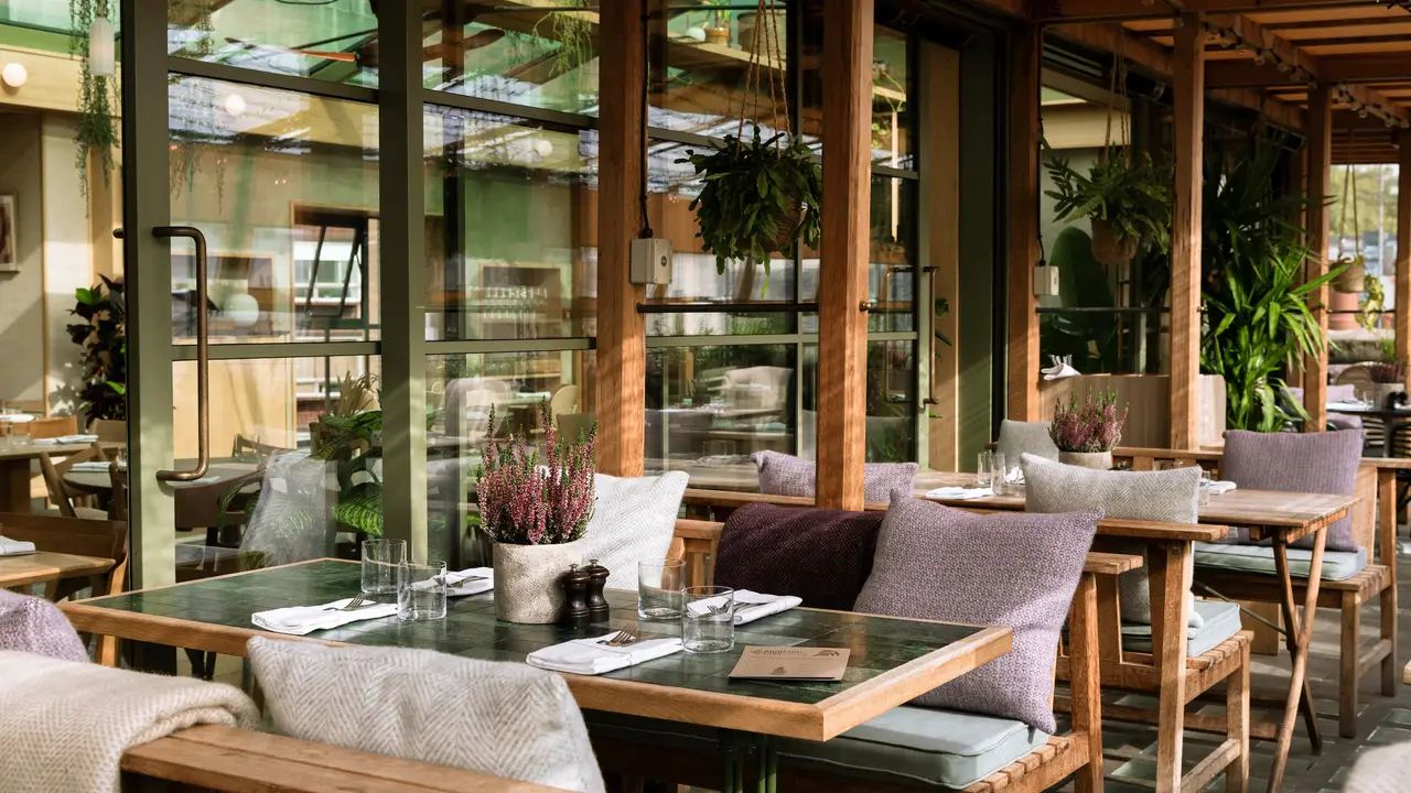 Roof Garden at Pantechnicon, London, 