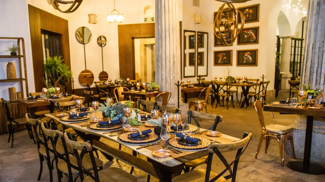 Don Gallo Cuisine, Santiago de Querétaro, QUE