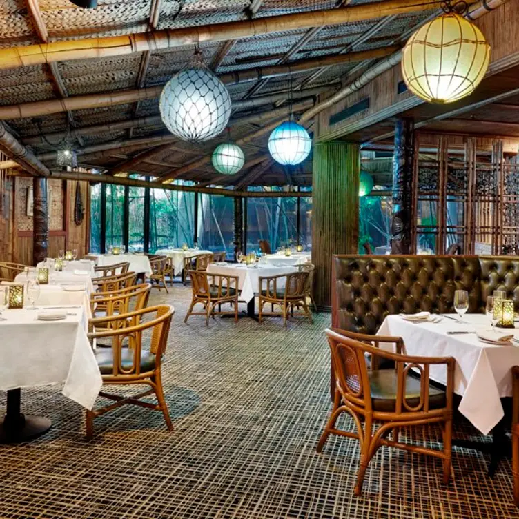 Trader - Trader Vic's, Atlanta, GA
