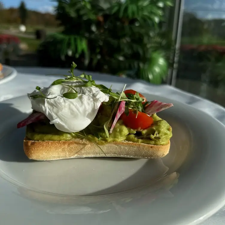 Smashed Avocado & Poached Egg - Spikes Bistro at Dudsbury Hotel, Golf Club & Spa, Ferndown, Dorset