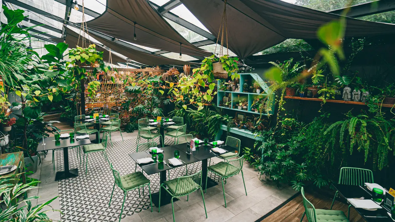 Un menú destacado por sabor y ambiente acogedor - Botánica Pizza, Panamá, Provincia de Panama