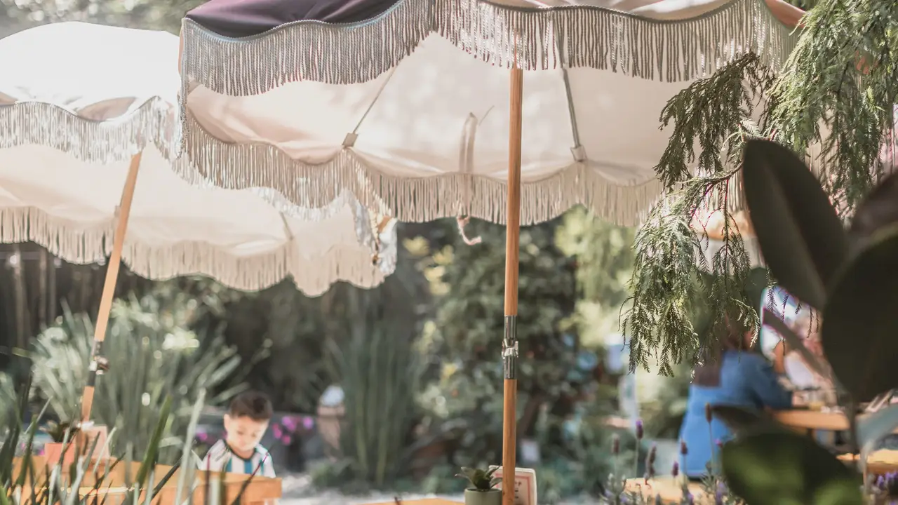 Contamos con jardín que es un oasis en la ciudad  - La Otilia Gluten Free - Polanco, Ciudad de México, CDMX