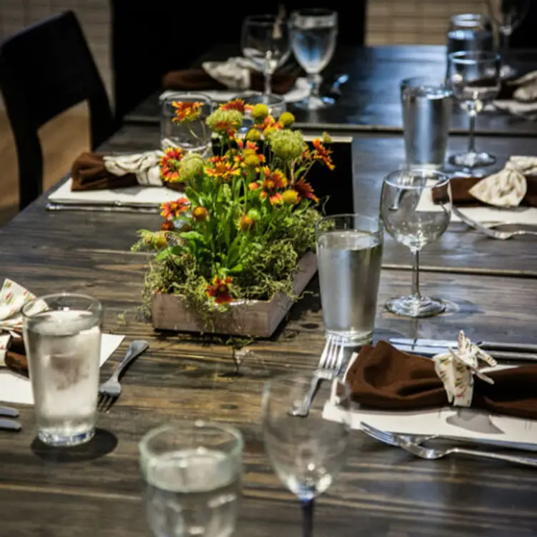 Cafe Momentum - Dallas, Dallas, TX