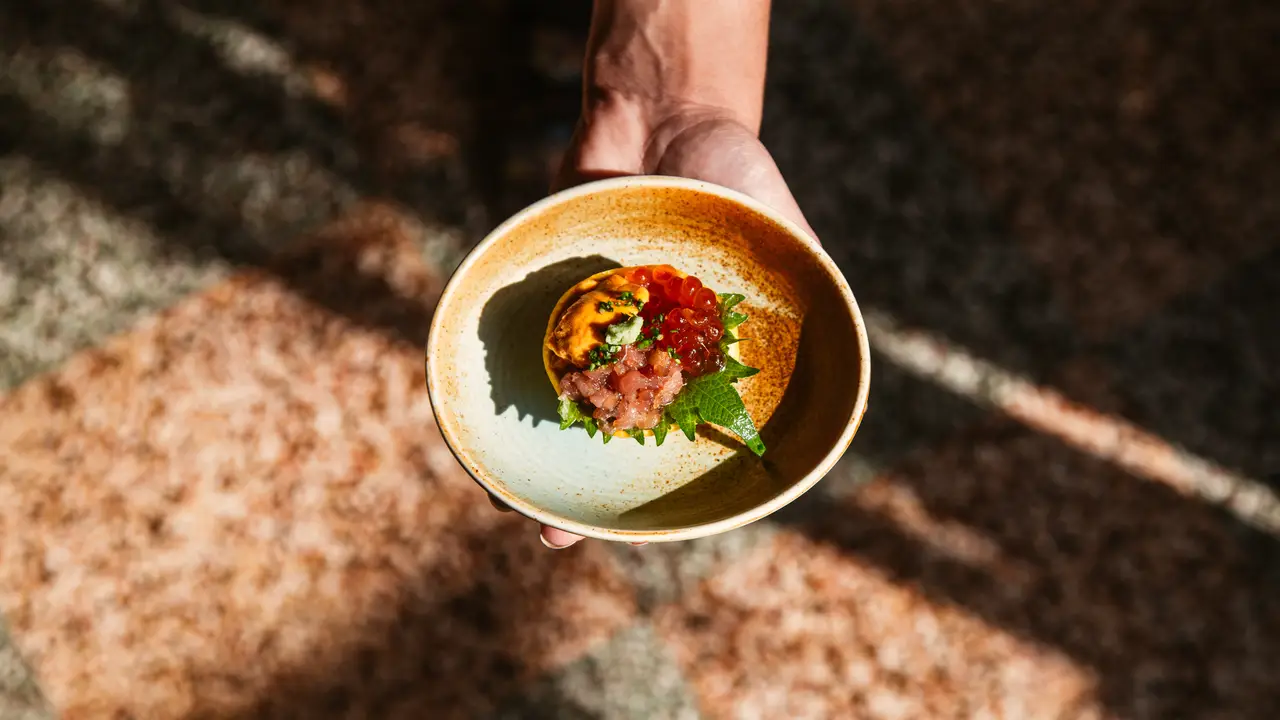 Koyi, Ciudad de México, CDMX