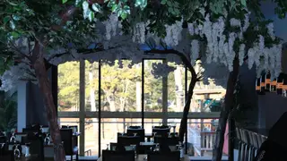 Una foto del restaurante AG SteakHouse (Formerly Allatoona Grill)
