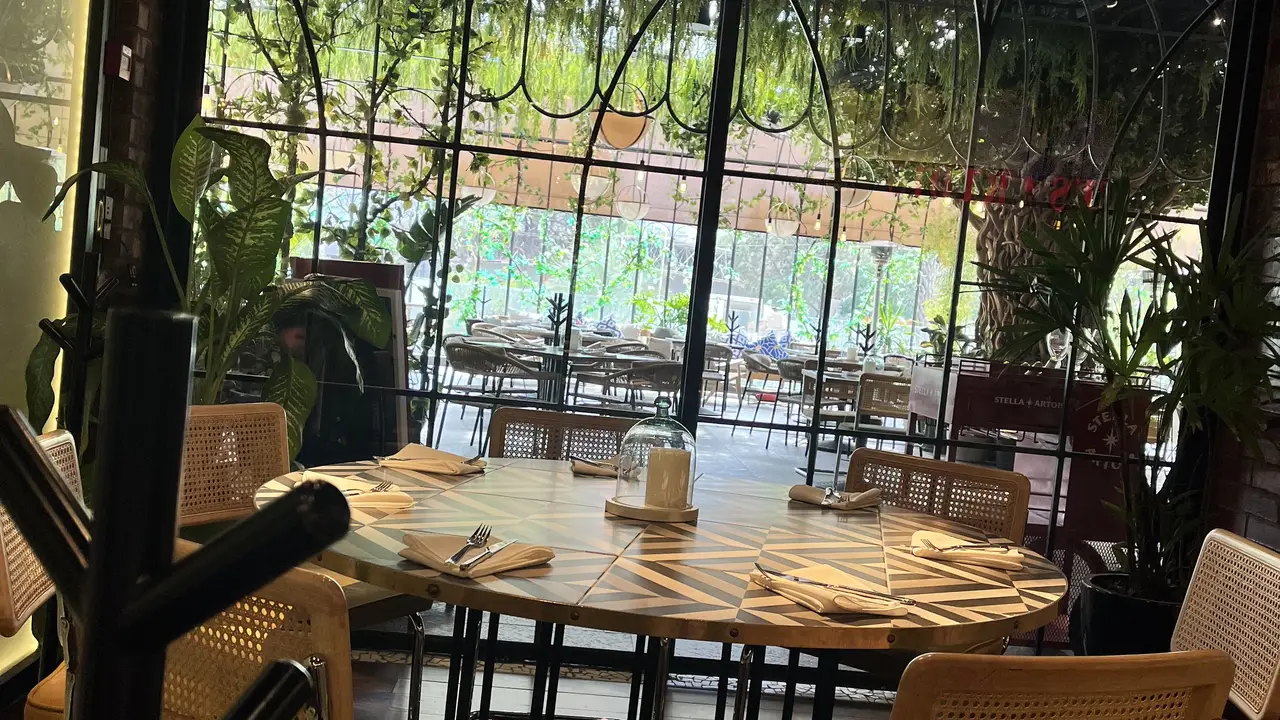 FritesArtoisMX, San Pedro Garza García, NLE