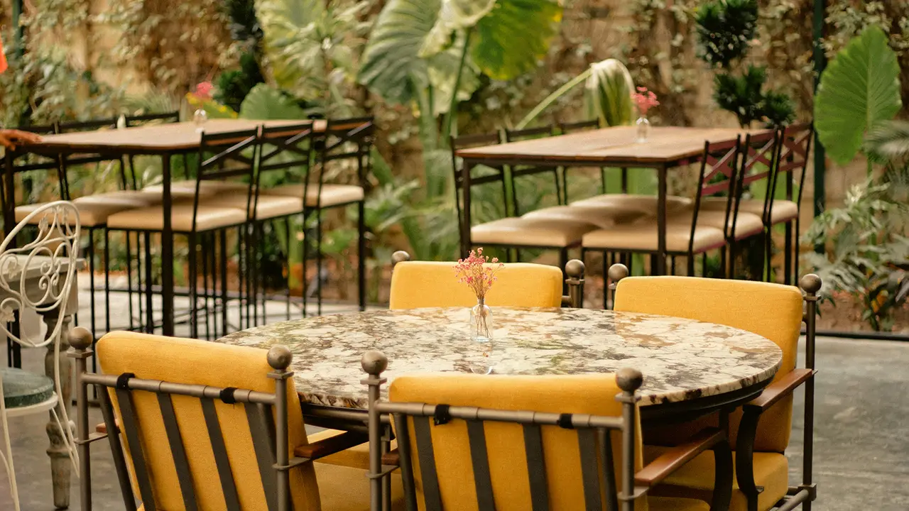 Querida Adela - Café & Cocina, San Pedro Garza García, NLE