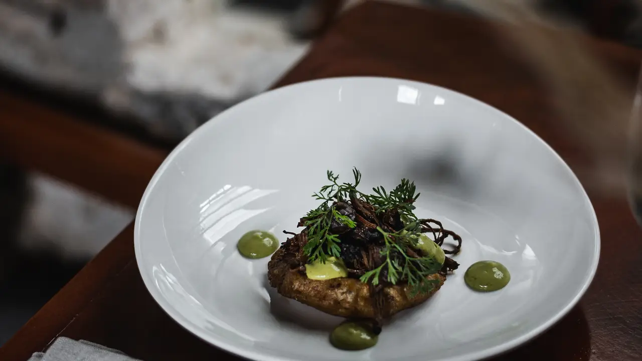 Cocina internacional con toques yucatecos. - TOH Restaurante, Mérida, YUC