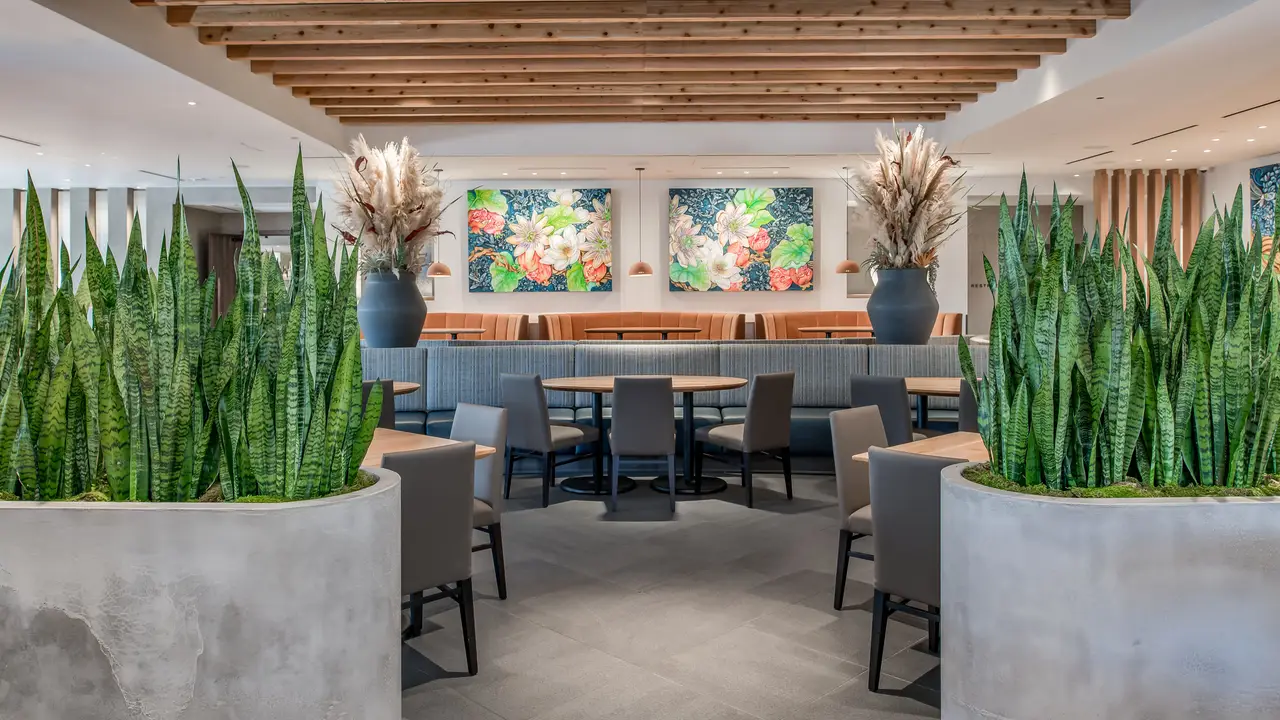 Mi Cocina - River Oaks, Houston, TX