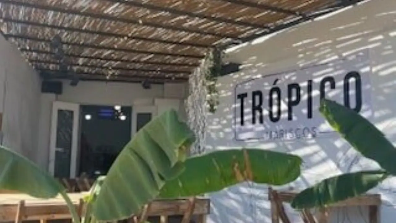 Tropico - Trópico, San José del Cabo, BCS