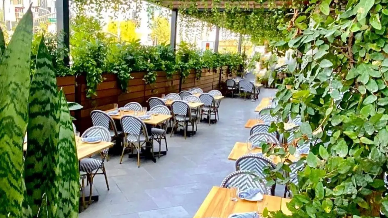Prima Donna - Prima Donna, Culver City, CA