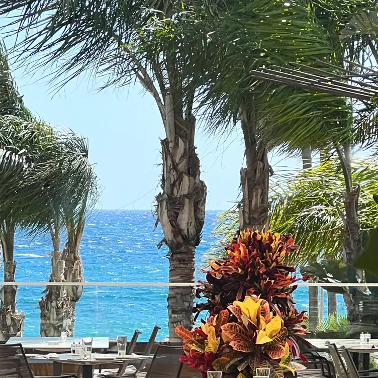 Kalypso, Limassol, 