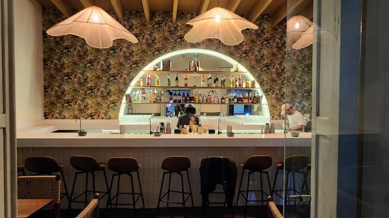 Palma Bar Tropical, San José del Cabo, BCS