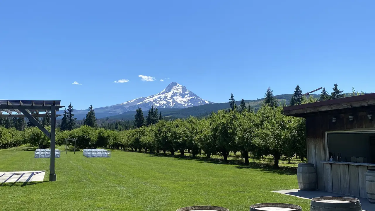 Grateful Vineyard, Mount Hood Parkdale, OR