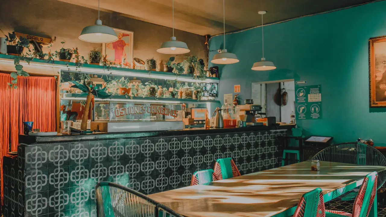 Sirilo es un espacio guapachoso de cocina del mar. - Sirilo | Cocina Folk, Oaxaca de Juárez, OAX