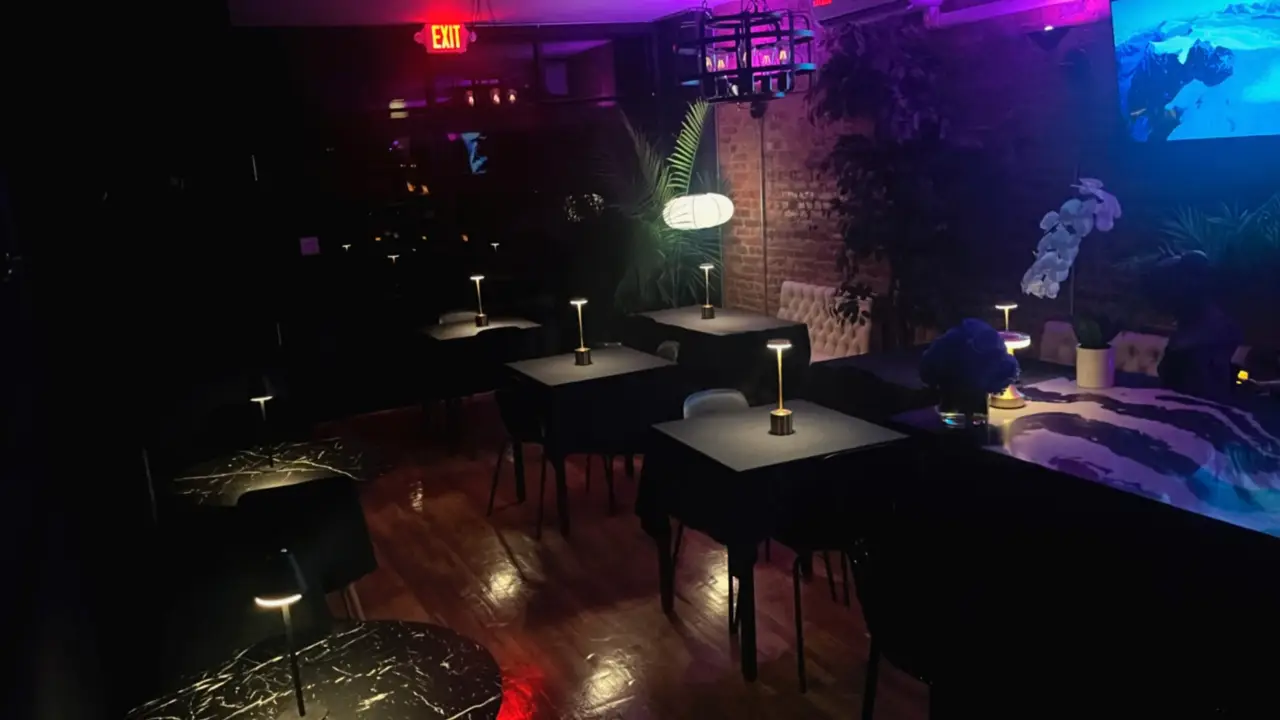 532, Brooklyn, NY