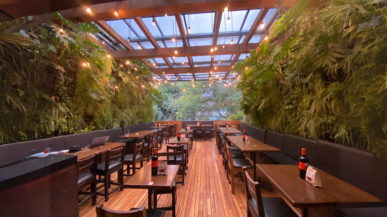Fungi Bar Condesa, Ciudad de México, CDMX
