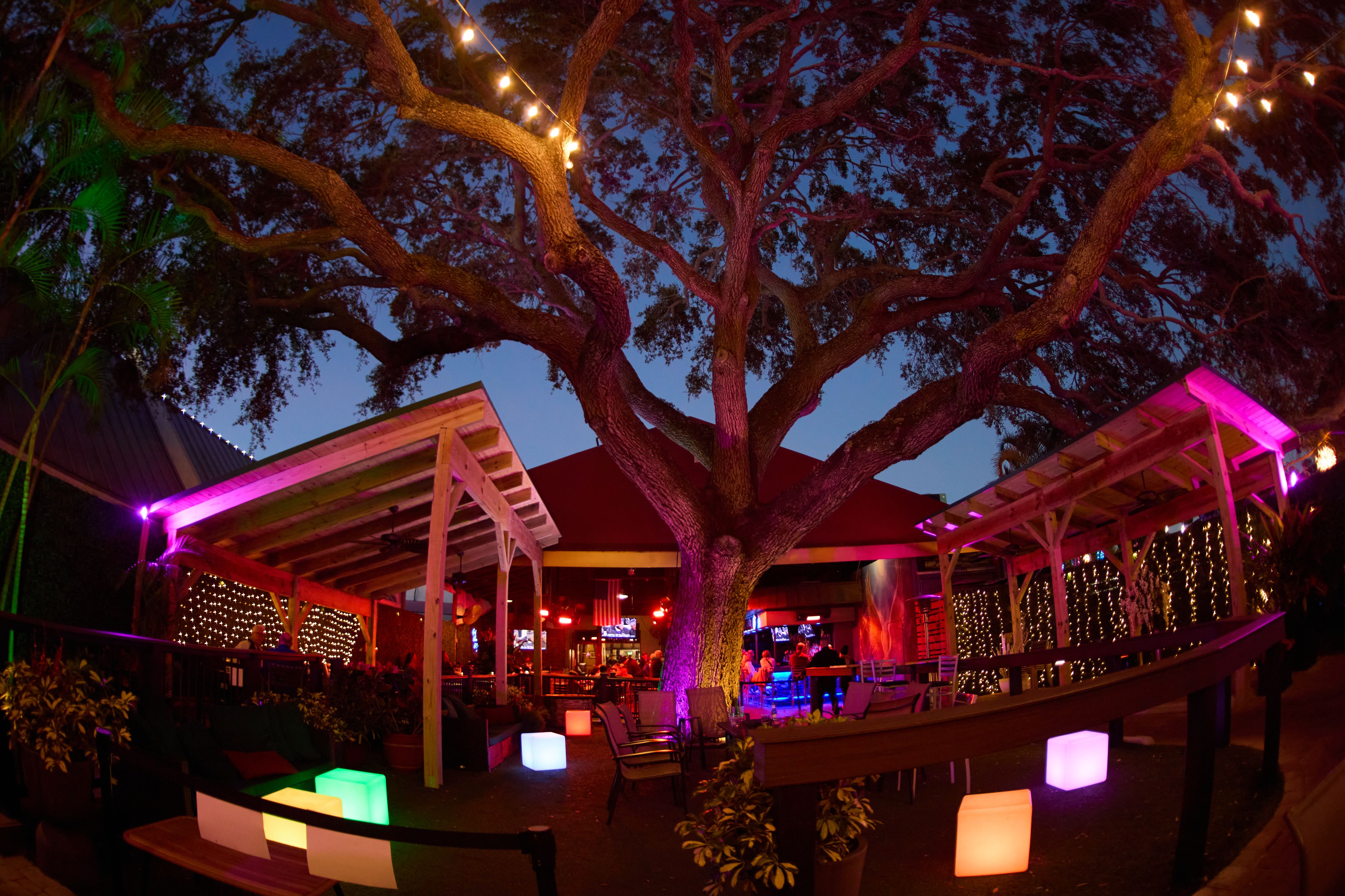 Downtown Dunedin (2025) – Best of TikTok, Instagram \u0026 Reddit Travel Guide, image size:4127x2752