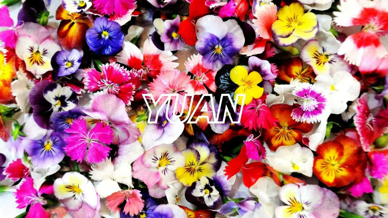 元YUAN, Taichung City, TXG