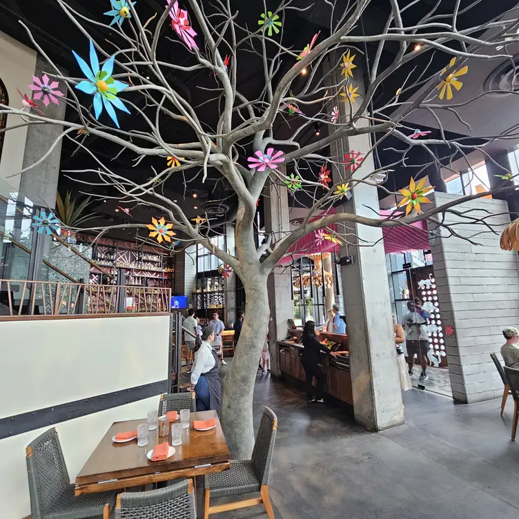 Mi Vida, District Wharf, Washington, DC