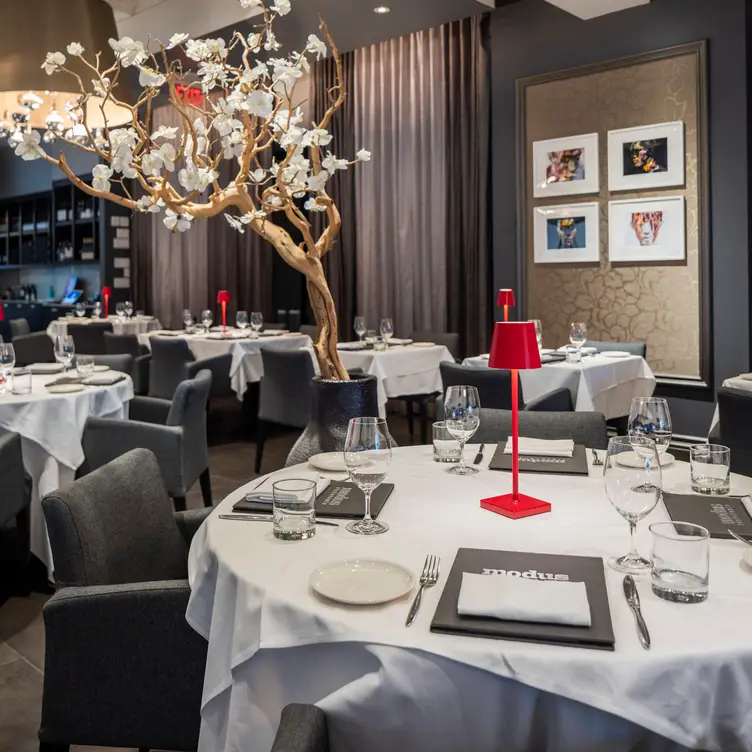 Modus Ristorante, Toronto, ON