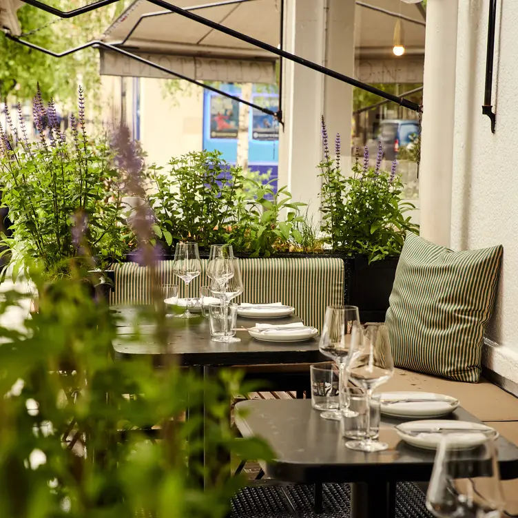 Terrace - Clipstone, London, 