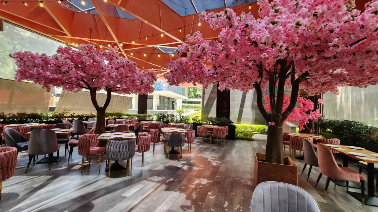 Cocina Internacional y Ambiente Acogedor - PINK Restaurante, Ciudad de México, CDMX