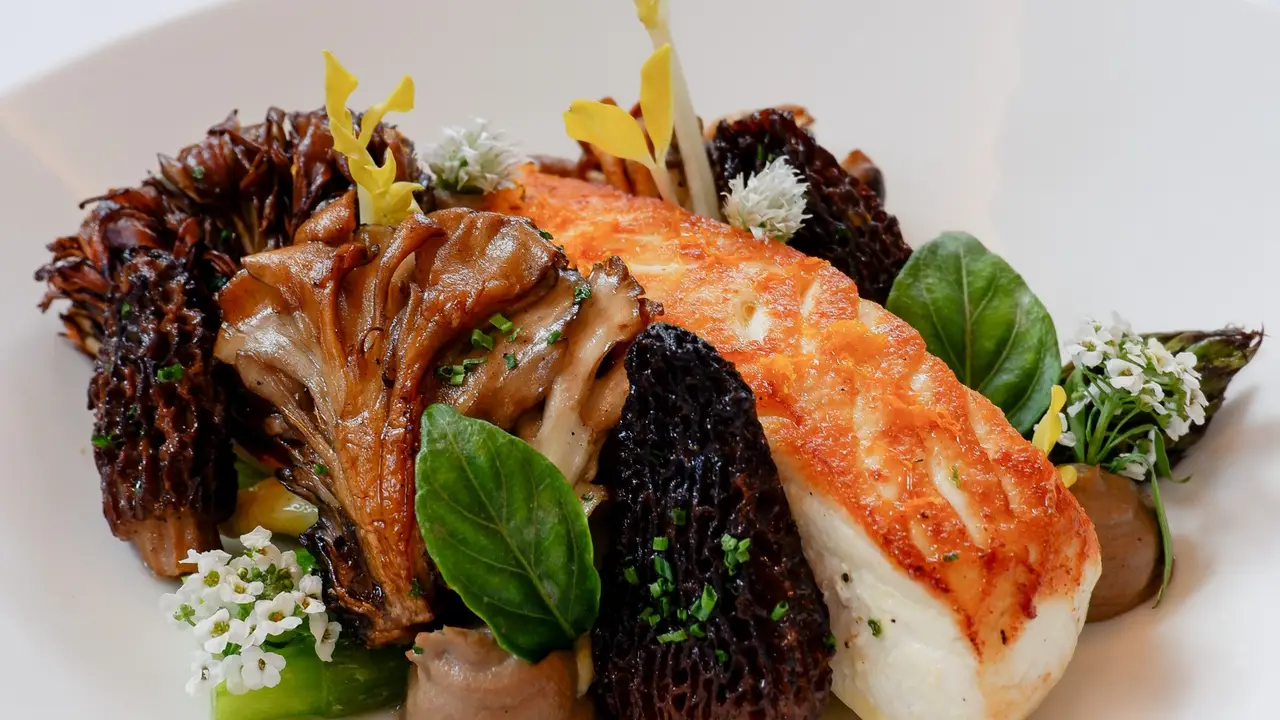 Wild Alaska Halibut - 801 Fish - Denver, Denver, CO