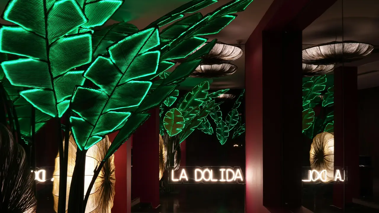 La Dolida Palmas, Ciudad de México, CDMX