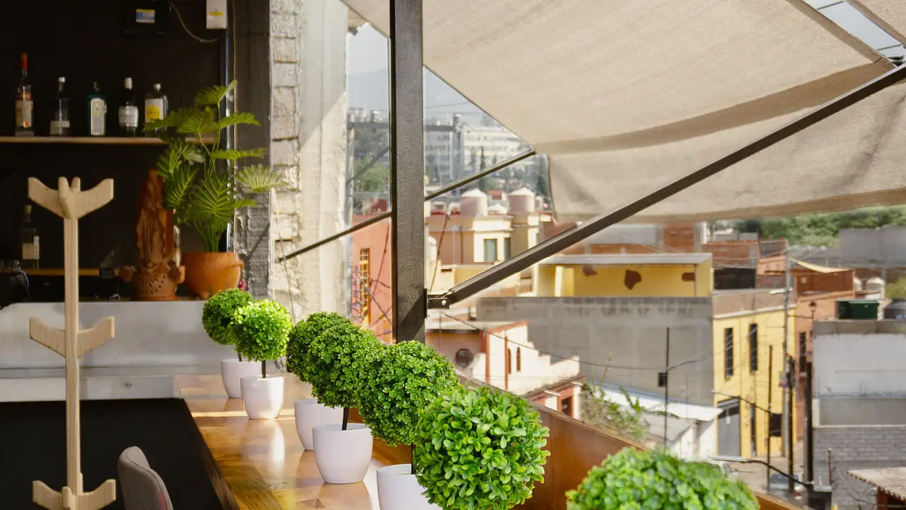LA TRIBU-Natural Bistro, Oaxaca, Oaxaca de Juárez, OAX