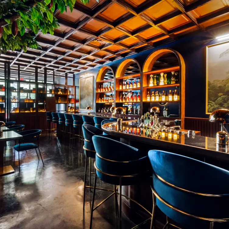 CASE Chocolates Restaurant Houston, TX OpenTable