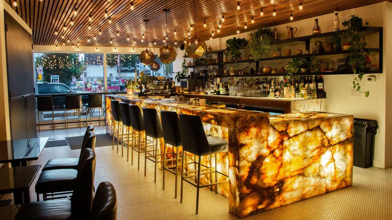 A quick look at our beautiful bar! - Drip House Cocktail Bar & Kitchen - Chinatown, Ottawa, ON