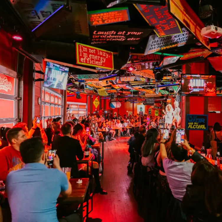 Señor Frog's - Las Vegas, Las Vegas, NV