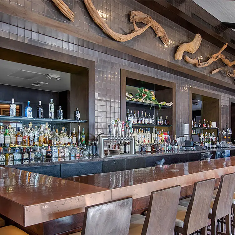 Blu Ember Bar - bluEmber at Rancho Las Palmas Resort & Spa, Rancho Mirage, CA