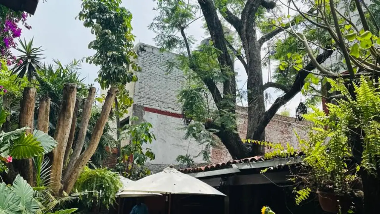 Allende, Ciudad de México, CDMX