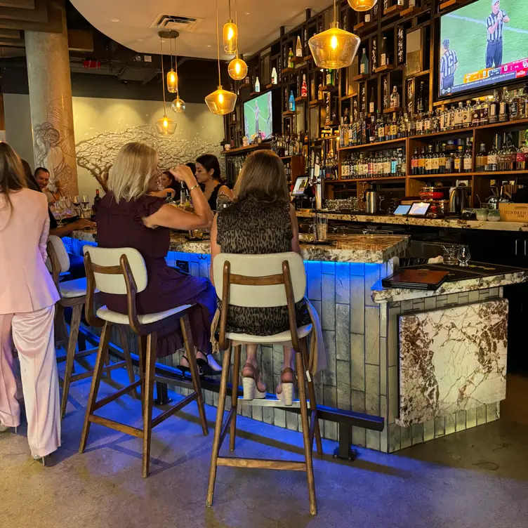 Musume - Dallas, Dallas, TX
