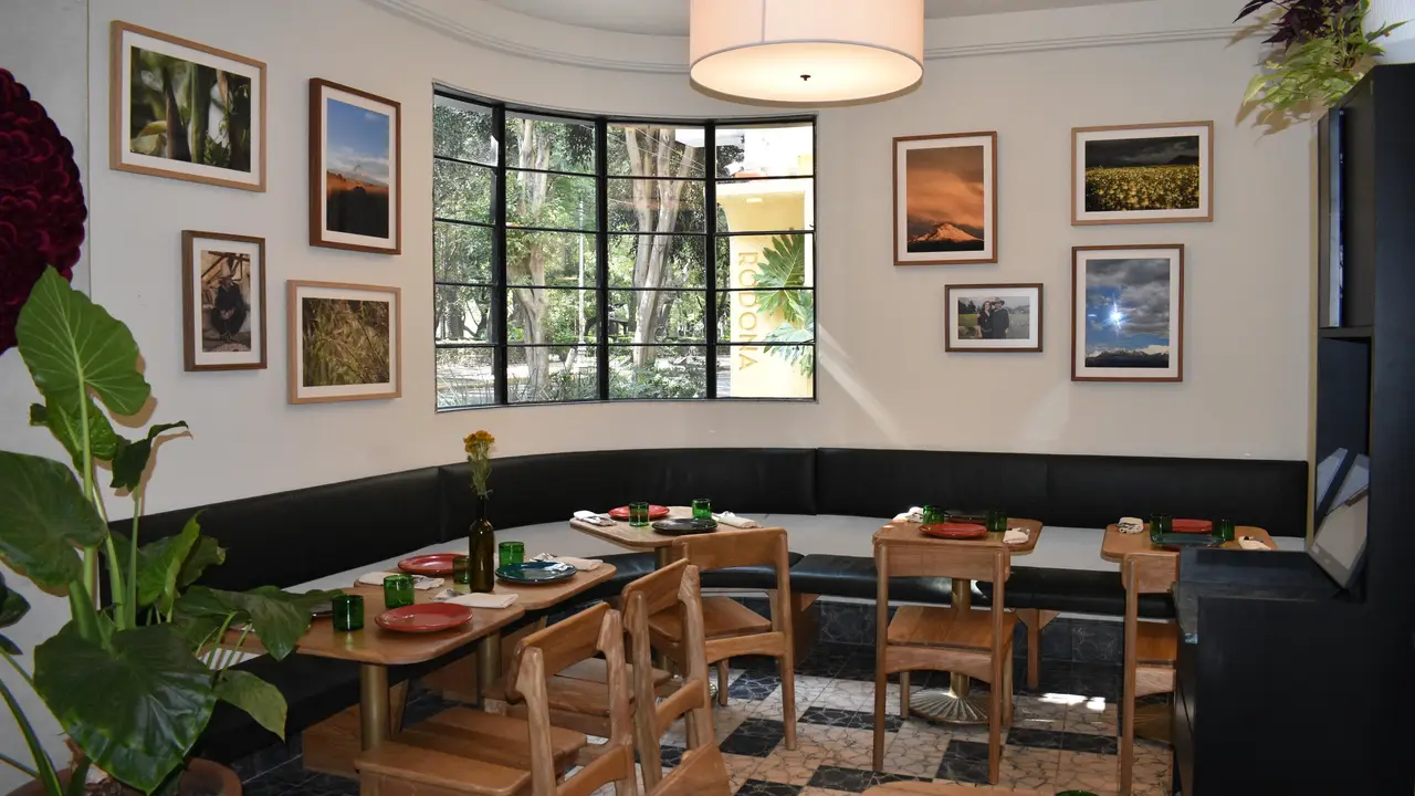 RODONA RESTAURANTE, Ciudad de México, CDMX