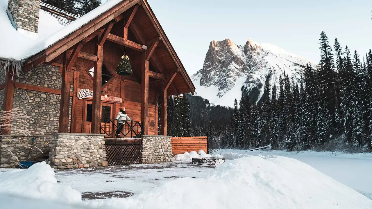 Experience and taste the Canadian Rockies  - Cilantro on the Lake，BCField