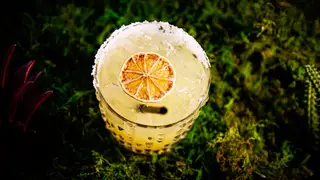 Una foto del restaurante Tequila Chulos