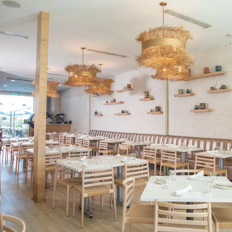 Shaya Restaurant New Orleans, LA OpenTable