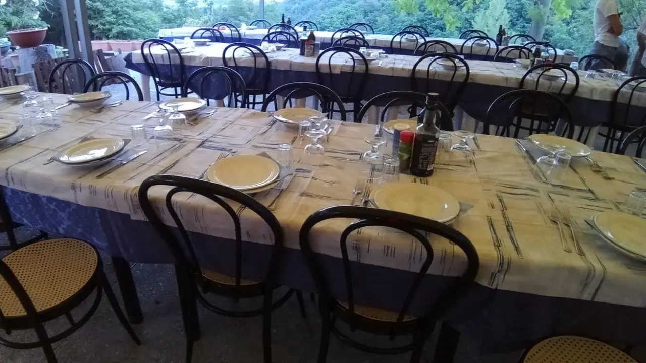 HILL'S club AI TRE PINI, Padua, VE