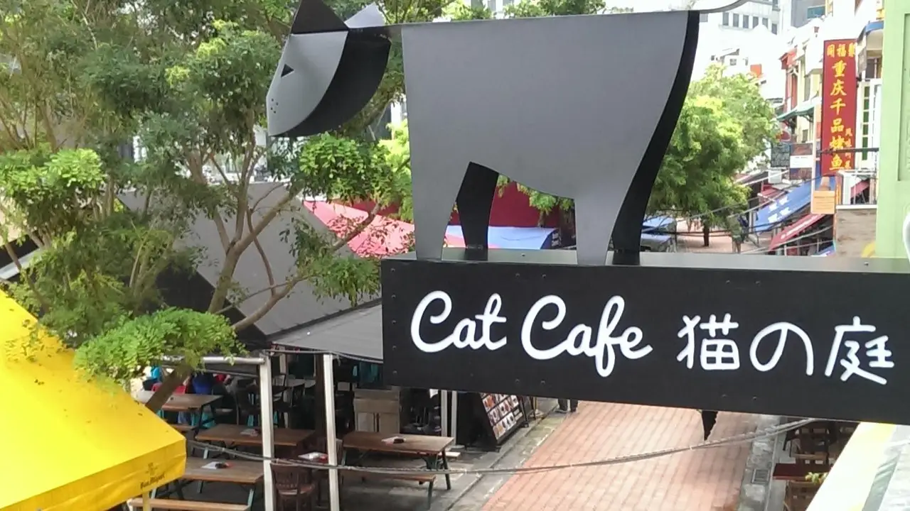 Cat Café Neko no Niwa, Singapore, 