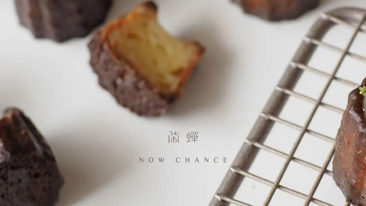 鬧蟬烘豆工作室, Taipei City, TPE