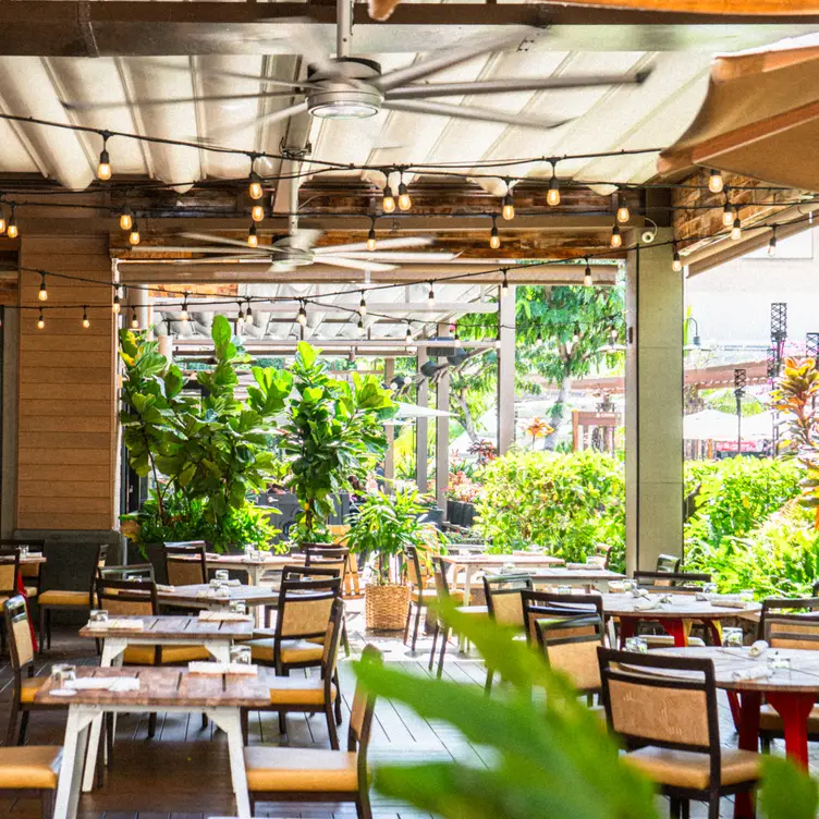Restaurante Eating House 1849 by Roy Yamaguchi - Waikiki